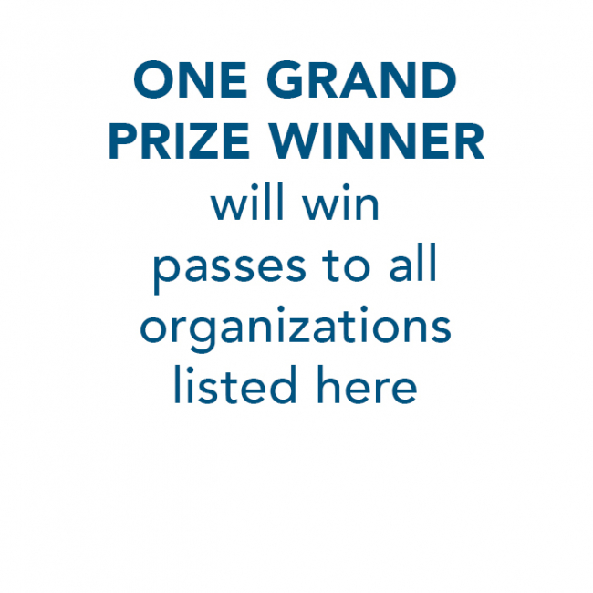 ONE GRAND PRIZE